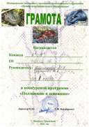 Грамота за победу в городском конкурсе.PDF.jpeg