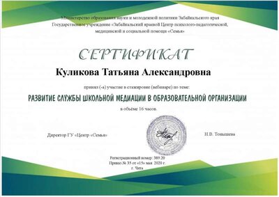 Куликова Медиация.jpg