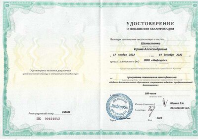 удостоверение педагог доп.образования.pdf.jpeg