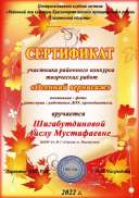 IMG_20221122_134536.jpg