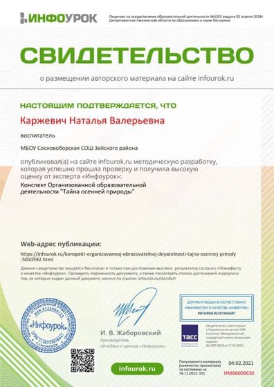 Свидетельство проекта infourok.ru №НМ66600630 (1).jpg