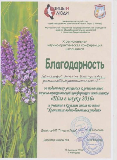 аттестация.jpg