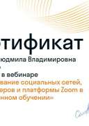 Сертификат Skysmart2.pdf.jpeg