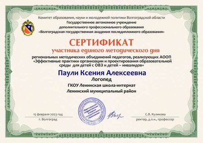 Сертификат участника РМО 1.jpg