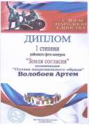 Диплом молодого специалиста.jpeg