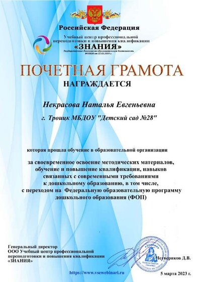 Почетная грамота ФОП 8076.pdf.jpeg