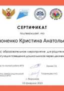 2023-02-03 Шевцова СЕРТИФИКАТ.jpg