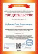 Свидетельство Инфоурок Работа с детьми с ОВЗ.jpg