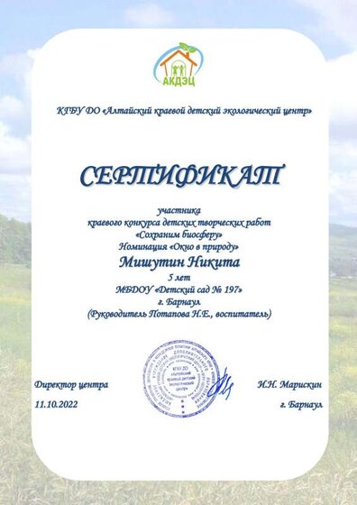 Сертификат_Мишутин_Никита.pdf.jpeg