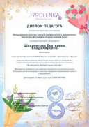 teacher_diploma.pdf.jpeg