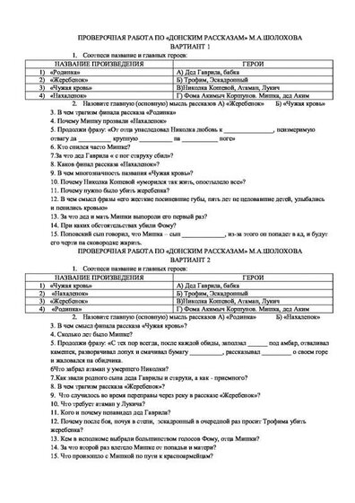 Проверочная работа по Донским рассказам М.А.Шолохова.pdf.jpeg