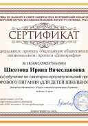 Шкотова Ирина Вячеславовна.pdf.jpeg