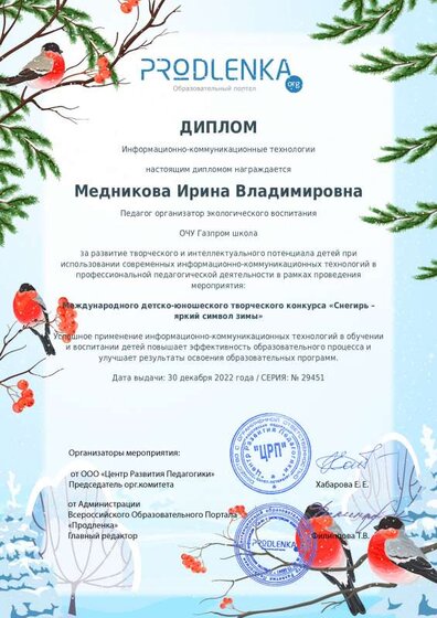 ikt_diploma.pdf.jpeg