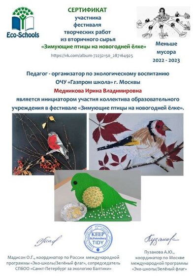 Медникова Ирина Владимировна (организатор).jpg