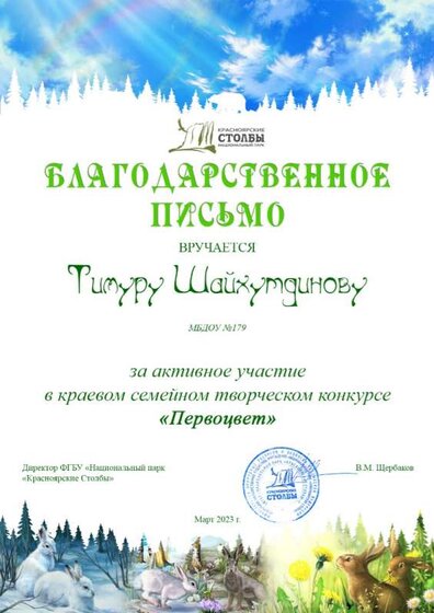 Шайхутдинов Т..jpg