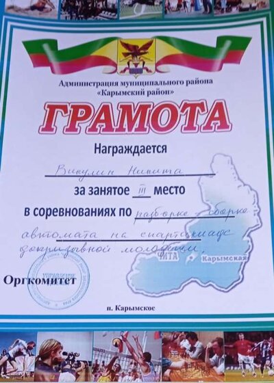 викулин 3 разборка.jpg