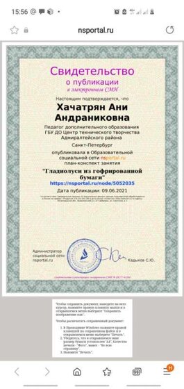 Screenshot_20210609-155628_Samsung Internet.jpg