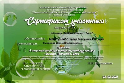 Сертификат- Ирина.jpg
