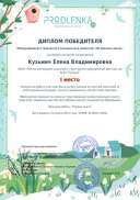 winner_diploma.pdf.jpeg