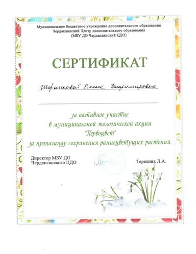 сертификат (1).pdf.jpeg