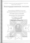грамота жюри.pdf.jpeg