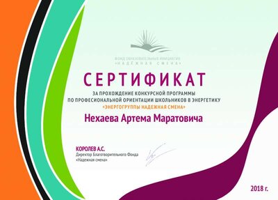 Нехаева Артема Маратовича.pdf.jpeg