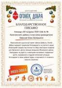 Благодарность от Огонька новогодняя.jpg