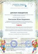 winner_diploma.pdf.jpeg