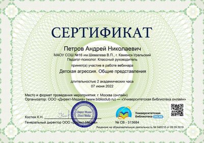 09.Сертификат (Директ-Академия) Детская агрессия. Общие представления (Петров А.Н.).jpg