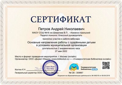 07.Сертификат (Директ-Академия) Основные направления работы с одаренными детьми в условиях муниципальной организации (Петров А.Н.).jpg