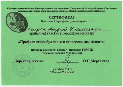 01.Сертификат (Школа №24) Участник городского семинара (Петров А.Н.).jpg