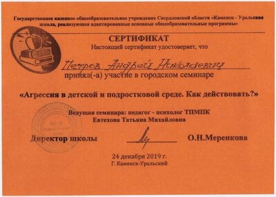 02.Сертификат (Школа №24) Участник городского семинара (Петров А.Н.).jpg