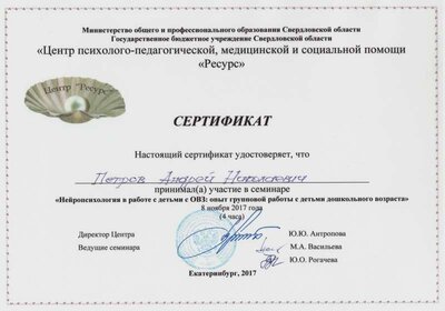 Сертификат (Центр ресурс)_Семинар НПК_2017г (Петров А.Н.).jpg