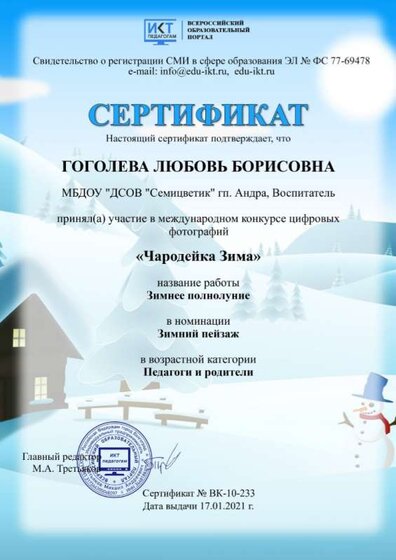 Сертификат Чародейка зима 2021.jpg