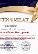 Шаповалова Е.В, финал 3 чемпионата России на лучшую презентацию профмастерства (флешмоб Катюша).pdf.jpeg