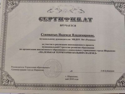 Сертификат Мпаленькая территория.jpg