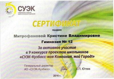 Сертификат СУЭК.jpg