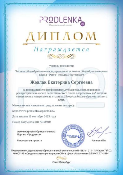 Диплом инновационная деятельность.pdf.jpeg