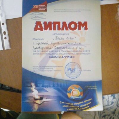 диплом мосты дружбы.jpg