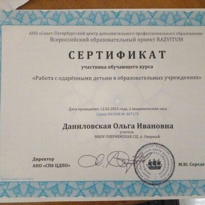 Сертификат работа с одаренными детьми.jpg