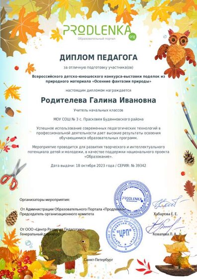 диплом учителя.pdf.jpeg