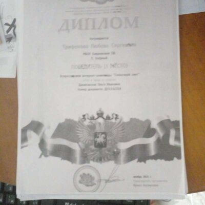 диплом онлай олимпиада.jpeg