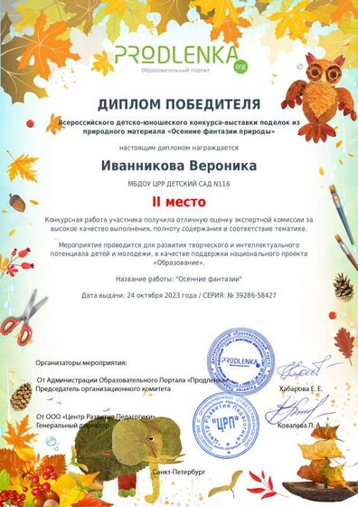 winner_diploma.pdf.jpeg