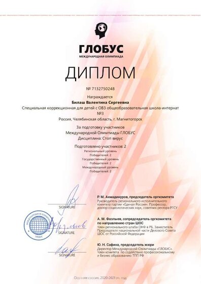 Диплом (глобус, стоп вирус).pdf.jpeg