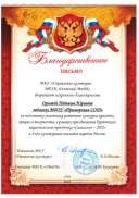благодарность за подготовку_Конкурс красоты.pdf.jpeg