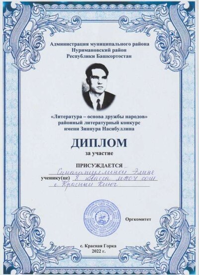 зинур 001.jpg