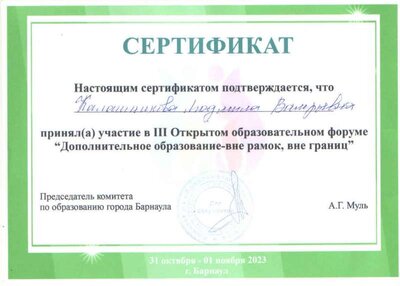 скан Калашникова.jpg