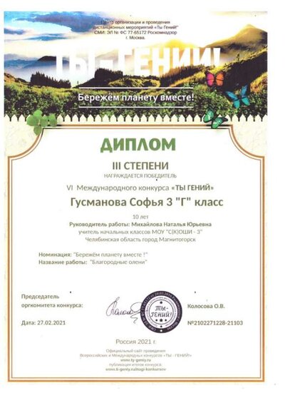 диплом4.jpeg