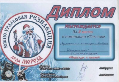 диплом тик-так.jpg