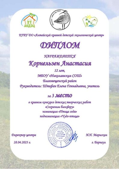 Корнельзен Анастасия - Диплом 3 место_Чудо-птица_ (1).pdf.jpeg